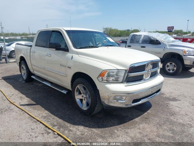 DODGE RAM 1500 2010 1d7rb1ct2as226713