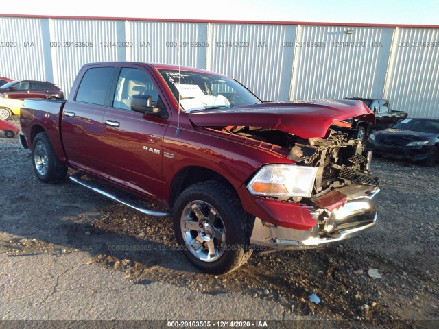 DODGE RAM 1500 2010 1d7rb1ct2as247769