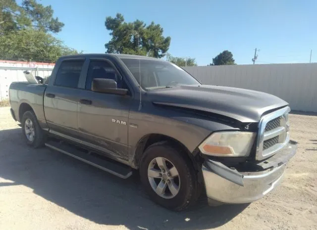 DODGE RAM 1500 2010 1d7rb1ct2as247836