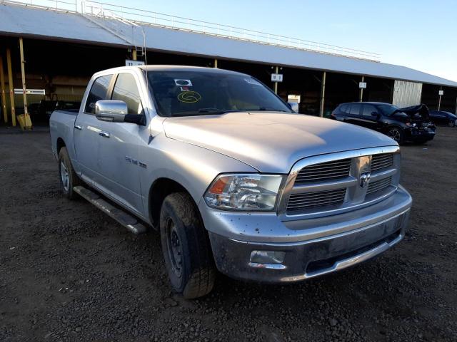 DODGE RAM 1500 2010 1d7rb1ct2as248551