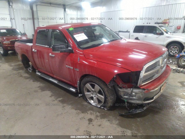 DODGE RAM 1500 2010 1d7rb1ct2as248744