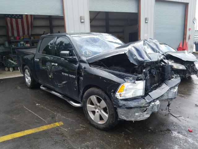 DODGE RAM 1500 2011 1d7rb1ct2bs577980