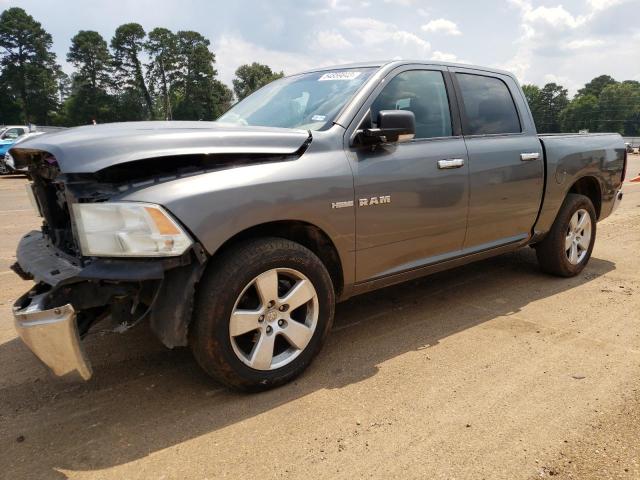 DODGE RAM 1500 2010 1d7rb1ct3as118245