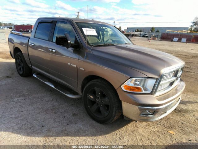 DODGE RAM 1500 2010 1d7rb1ct3as144828