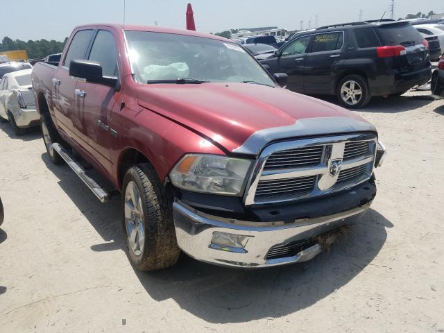 DODGE RAM 1500 2010 1d7rb1ct3as195181