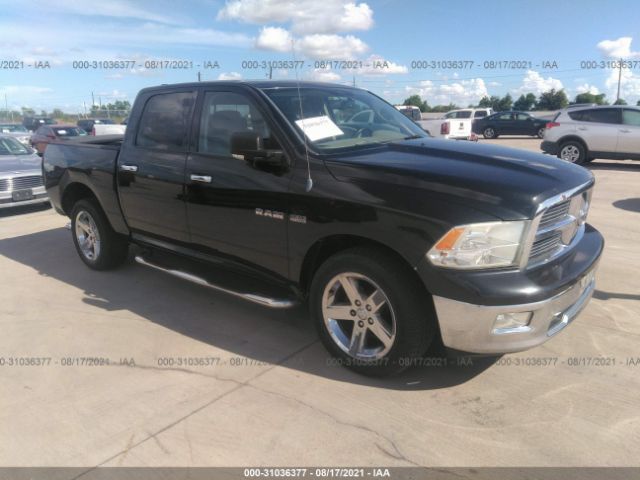 DODGE RAM 1500 2010 1d7rb1ct3as203439