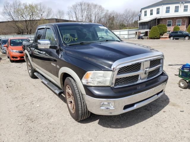 DODGE RAM 1500 2010 1d7rb1ct3as204087