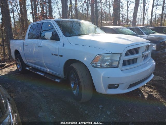 DODGE RAM 1500 2010 1d7rb1ct3as205790