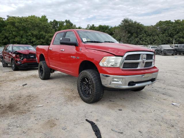 DODGE RAM 1500 2010 1d7rb1ct3as244993