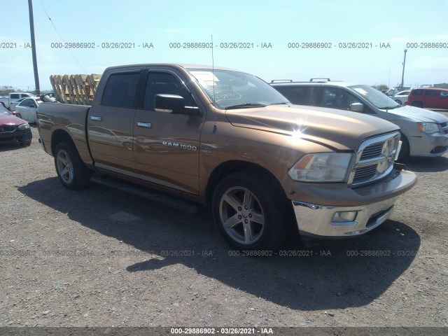 RAM 1500 2011 1d7rb1ct3bs637829