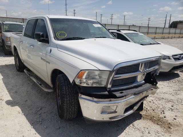 DODGE RAM 1500 2010 1d7rb1ct4as121736