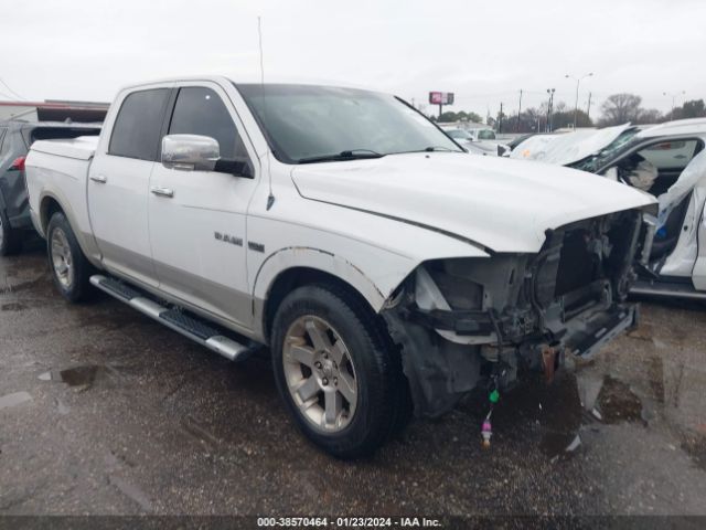 DODGE RAM 1500 2010 1d7rb1ct4as162366