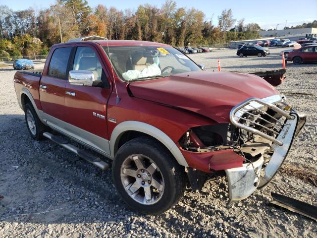 DODGE RAM 1500 2010 1d7rb1ct4as213669