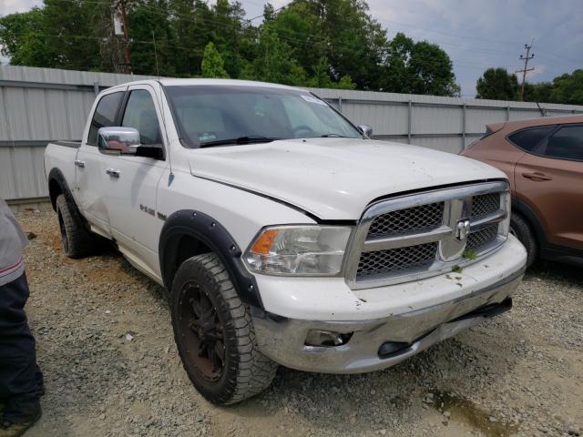 DODGE RAM 1500 2010 1d7rb1ct4as248308