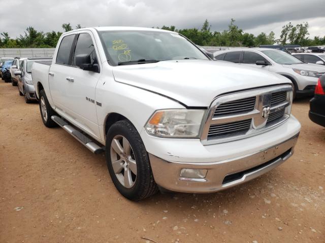 DODGE RAM 1500 2010 1d7rb1ct4as248731