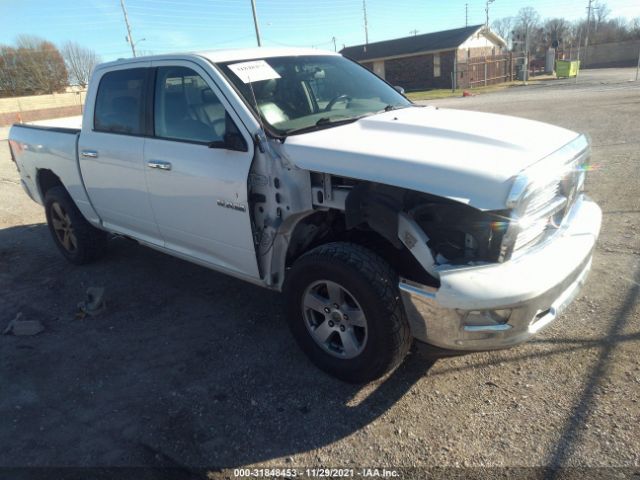 DODGE RAM 1500 2010 1d7rb1ct5as121583