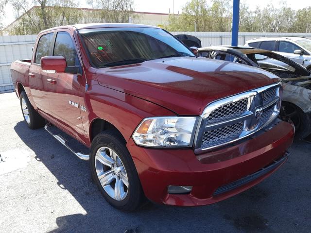 DODGE RAM 1500 2010 1d7rb1ct5as165003