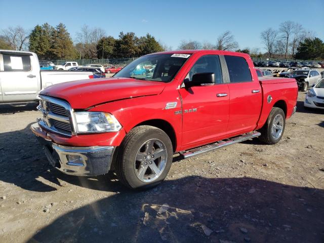 DODGE RAM 1500 2010 1d7rb1ct5as178463