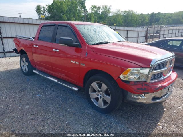 DODGE RAM 1500 2010 1d7rb1ct5as179628