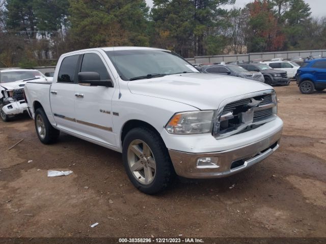 DODGE RAM 1500 2010 1d7rb1ct5as235650