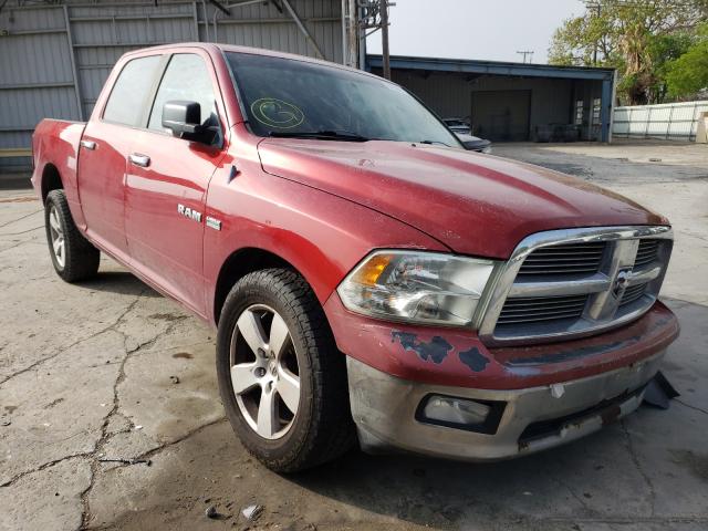 DODGE RAM 1500 2010 1d7rb1ct5as245949