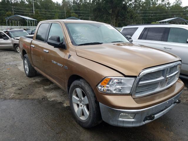 DODGE RAM 1500 2011 1d7rb1ct5bs634737