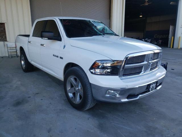 DODGE RAM 1500 2010 1d7rb1ct6as181193