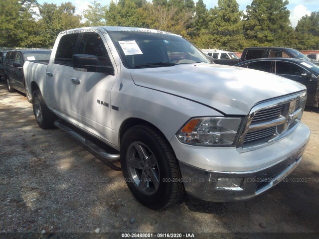 DODGE RAM 1500 2010 1d7rb1ct6as217609