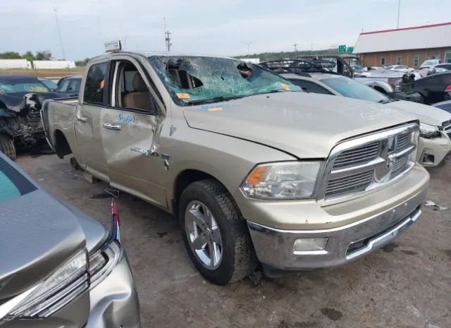 RAM RAM 1500 2011 1d7rb1ct6bs612388