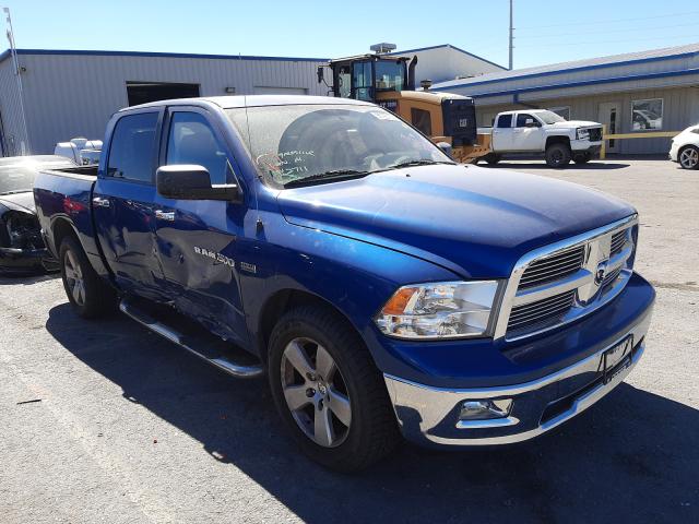 DODGE RAM 1500 2011 1d7rb1ct6bs656553