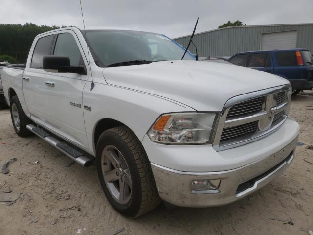 DODGE RAM 1500 2010 1d7rb1ct7as103991