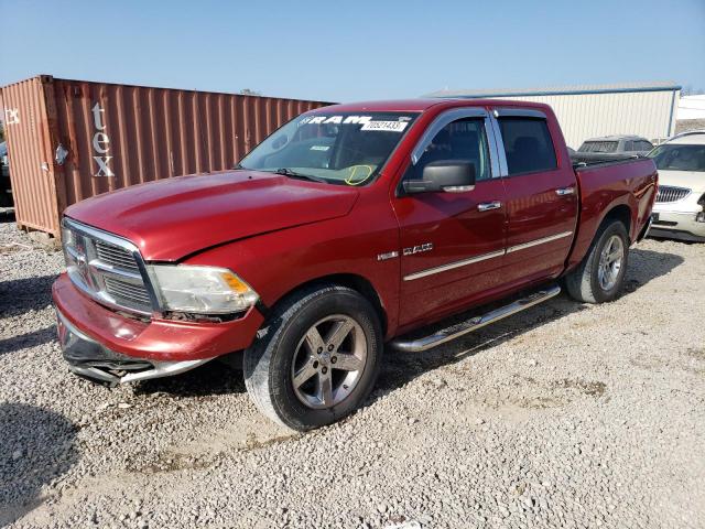 DODGE ALL MODELS 2010 1d7rb1ct7as107734