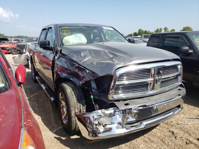 DODGE RAM 1500 2010 1d7rb1ct7as108379