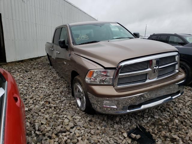 DODGE RAM 1500 2010 1d7rb1ct7as148221