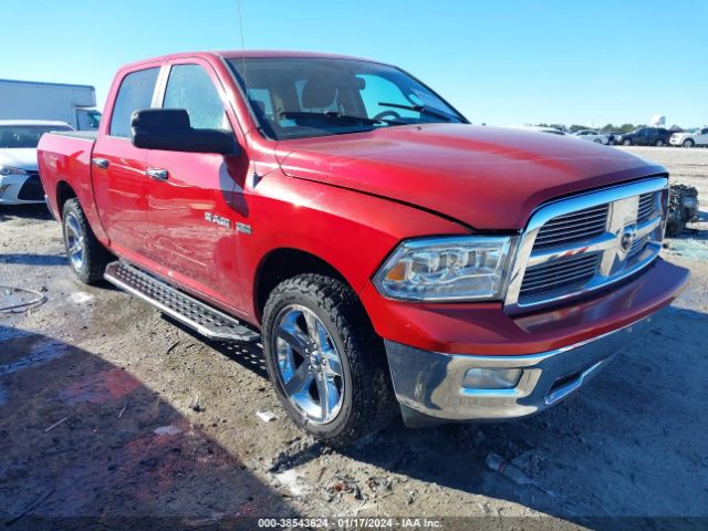 DODGE RAM 1500 2010 1d7rb1ct7as178593