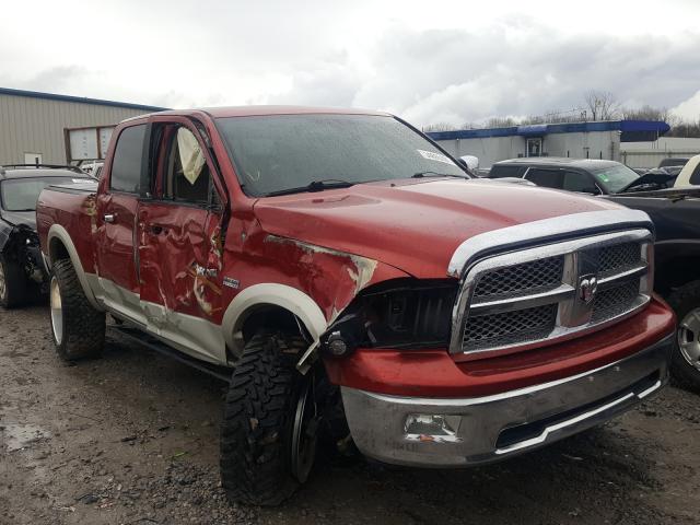 DODGE RAM 1500 2010 1d7rb1ct7as179856