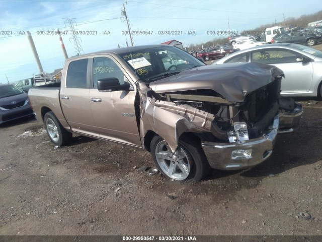 DODGE RAM 1500 2010 1d7rb1ct7as189156