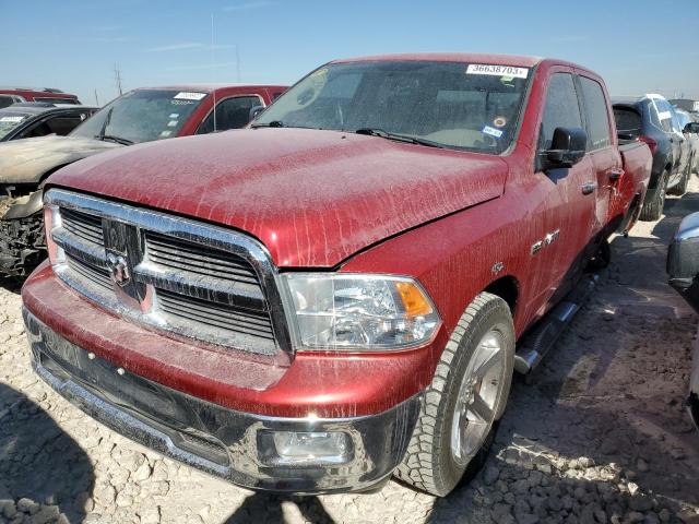 DODGE RAM 1500 2010 1d7rb1ct7as189562