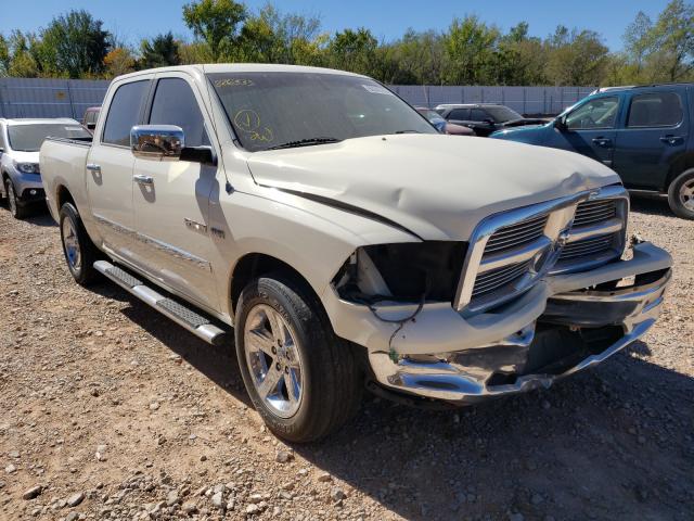 DODGE RAM 1500 2010 1d7rb1ct7as226335