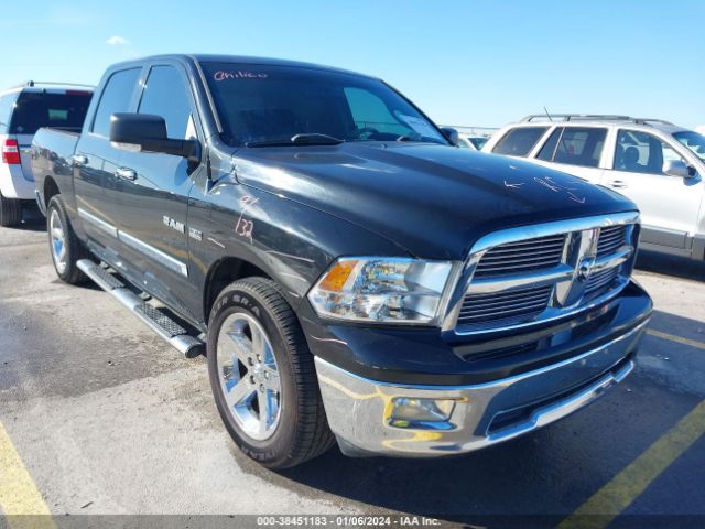 DODGE RAM 1500 2010 1d7rb1ct8as121755