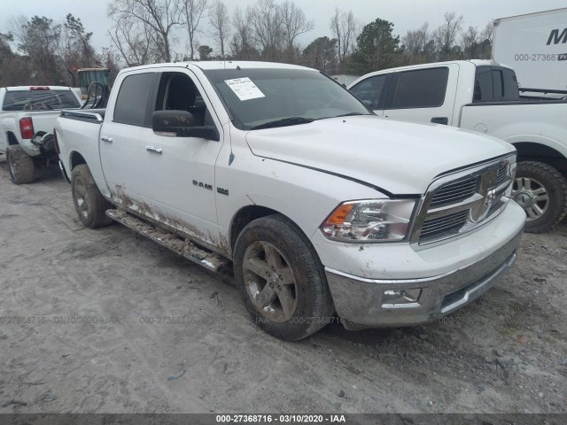 DODGE RAM 1500 2010 1d7rb1ct8as126342