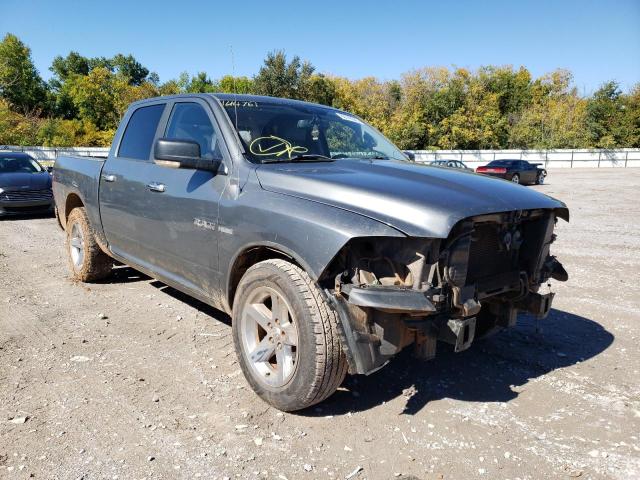 DODGE RAM 1500 2010 1d7rb1ct8as144761