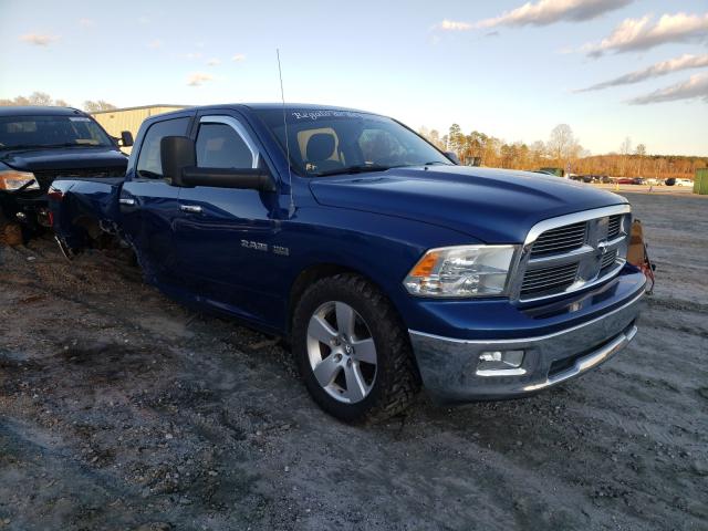 DODGE RAM 1500 2010 1d7rb1ct8as146381