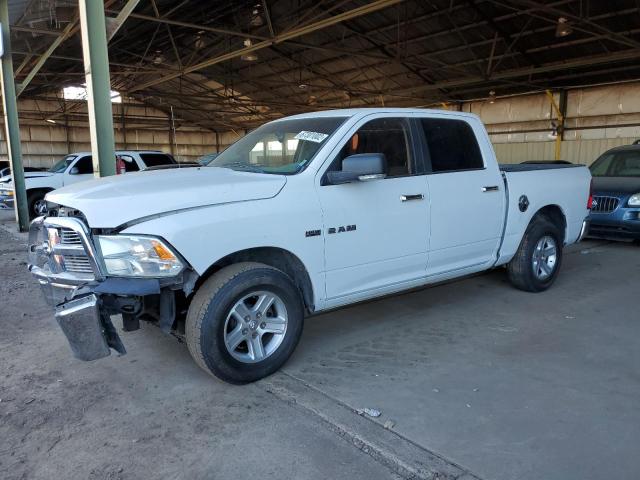 DODGE RAM 1500 2010 1d7rb1ct8as156134