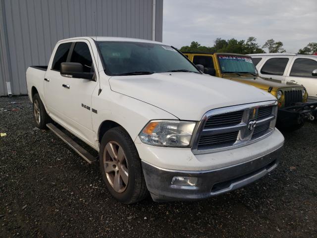 DODGE RAM 1500 2010 1d7rb1ct8as189411