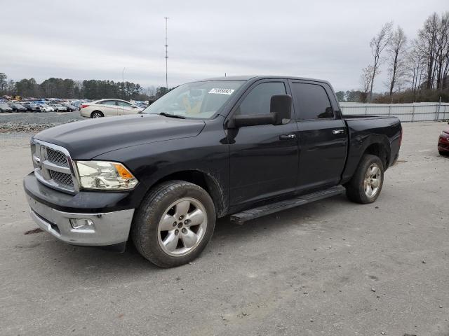 DODGE RAM 1500 2010 1d7rb1ct8as203856