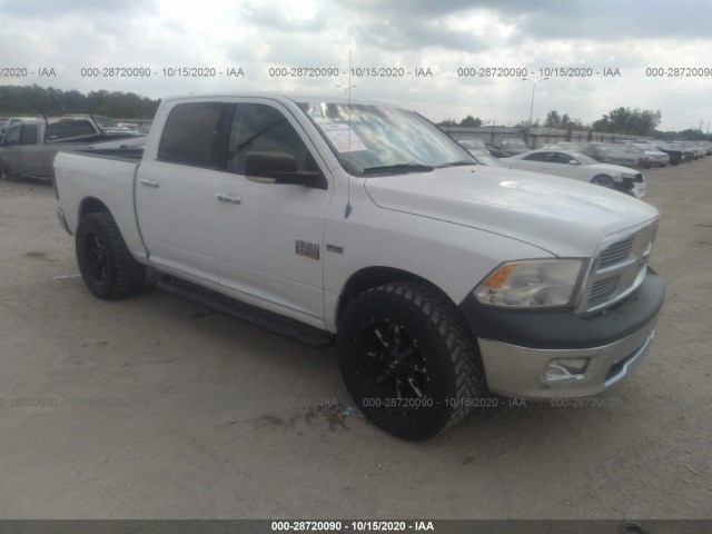 DODGE RAM 1500 2010 1d7rb1ct8as213593