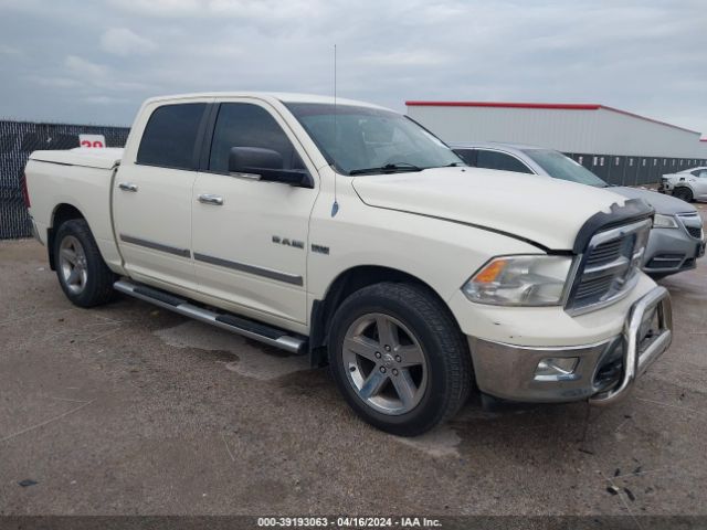 DODGE RAM 1500 2010 1d7rb1ct8as230569