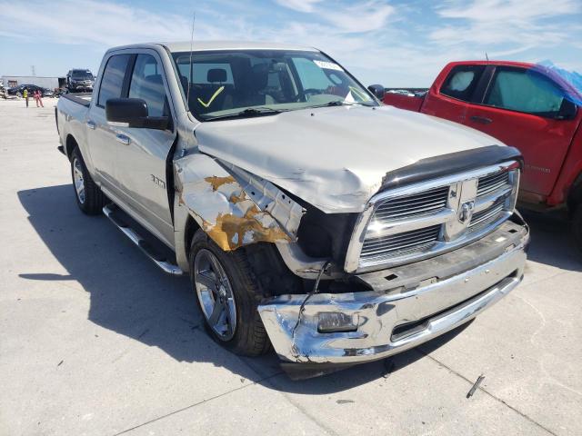 DODGE RAM 1500 2010 1d7rb1ct8as232452