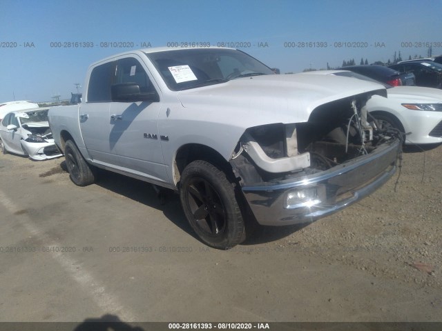 DODGE RAM 1500 2010 1d7rb1ct8as242091